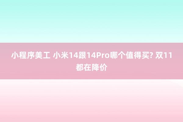 小程序美工 小米14跟14Pro哪个值得买? 双11都在降价